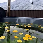 Motel Trembita