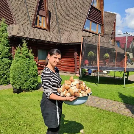 Motel Trembita Mizhhirya (Transcarpathia)