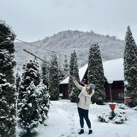 汽车旅馆 Trembita