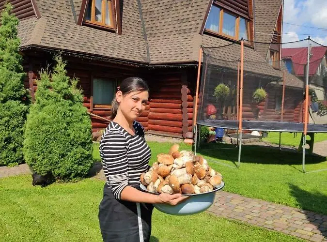 Motel Trembita Mizhhirya (Transcarpathia)
